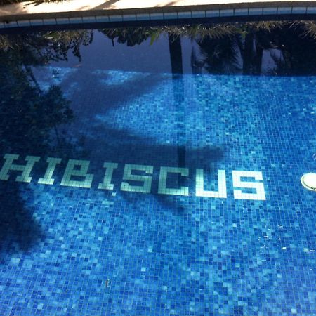 קאוויטה Chalet Y Cabinas Hibiscus מראה חיצוני תמונה