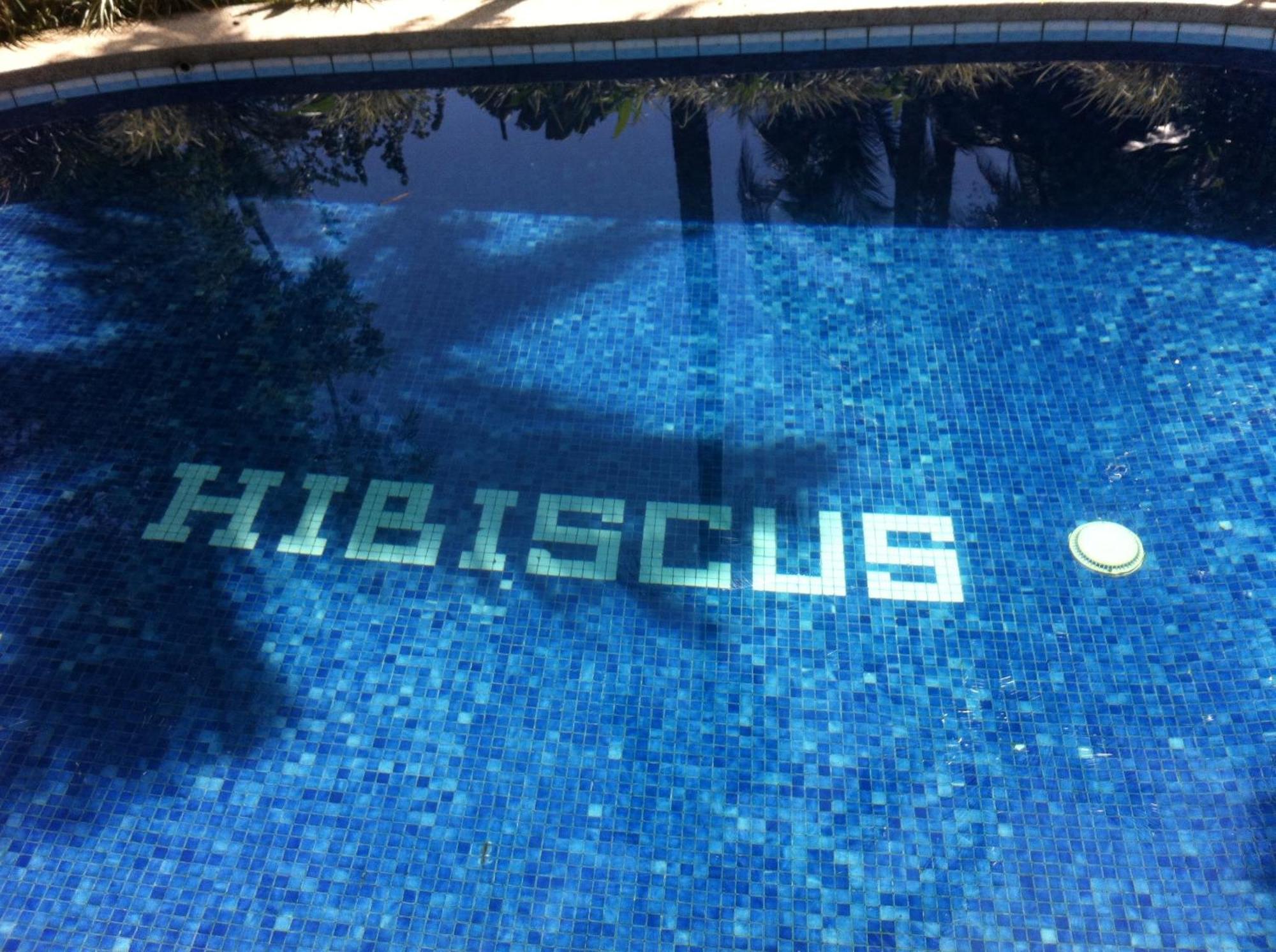 קאוויטה Chalet Y Cabinas Hibiscus מראה חיצוני תמונה